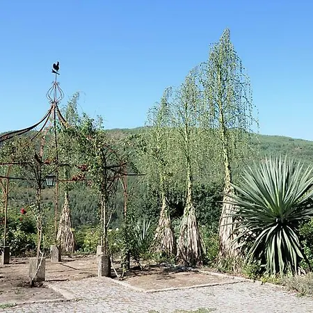 Quinta De Albergaria *
